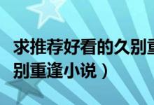 求推薦好看的久別重逢小說（有沒有好看的久別重逢小說）