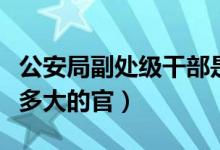 公安局副處級(jí)干部是多大的官（副處級(jí)干部是多大的官）