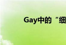 Gay中的“細(xì)?！笔鞘裁匆馑?？