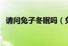 請(qǐng)問兔子冬眠嗎（兔子冬眠嗎冬天冬眠嗎）