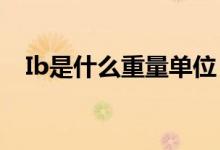 Ib是什么重量單位（重量ibs是什么意思）