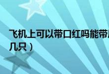 飛機(jī)上可以帶口紅嗎能帶眉筆嗎（飛機(jī)上可以帶口紅嗎能帶幾只）