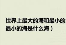 世界上最大的海和最小的海分別是什么（世界上最大的海和最小的海是什么海）