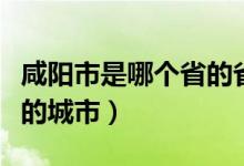 咸陽市是哪個省的省會城市（咸陽市是哪個省的城市）