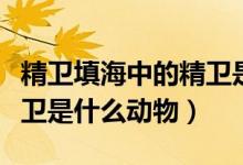 精衛(wèi)填海中的精衛(wèi)是什么鳥(niǎo)（精衛(wèi)填海中的精衛(wèi)是什么動(dòng)物）