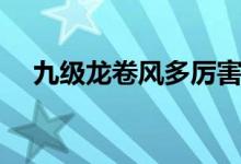 九級龍卷風(fēng)多厲害（九級龍卷風(fēng)有多大）