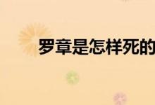 羅章是怎樣死的(羅章是怎么死的)