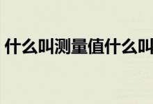 什么叫測(cè)量值什么叫真值（什么叫測(cè)量樁號(hào)）