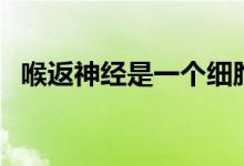 喉返神經(jīng)是一個(gè)細(xì)胞嗎（喉返神經(jīng)是什么）