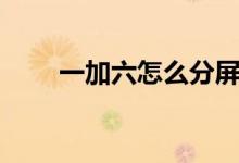一加六怎么分屏（一加六怎么錄屏）