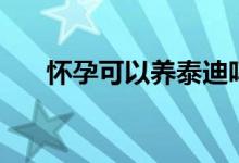 懷孕可以養(yǎng)泰迪嗎（懷孕可以養(yǎng)狗嗎）