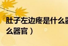 肚子左邊疼是什么器官疼的（肚子左邊疼是什么器官）