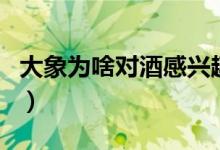 大象為啥對酒感興趣（大象對酒感興趣的原因）