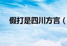 假打是四川方言（假打四川話什么意思）