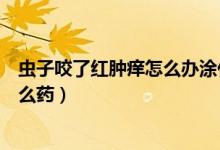 蟲(chóng)子咬了紅腫癢怎么辦涂什么藥膏（被蟲(chóng)咬了紅腫很癢用什么藥）