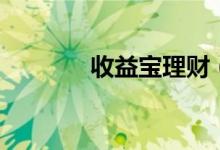 收益寶理財(cái)（收益寶是什么）