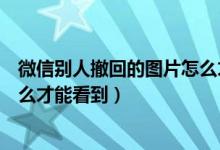 微信別人撤回的圖片怎么才能找回（微信別人撤回的圖片怎么才能看到）