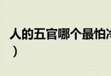 人的五官哪個最怕冷(五官最怕冷的部位是哪)