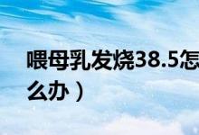 喂母乳發(fā)燒38.5怎么辦（發(fā)燒38.5喂奶了怎么辦）