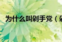 為什么叫剁手黨（剁手黨是啥意思是什么）