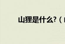 山貍是什么?（山貍的意思是什么）