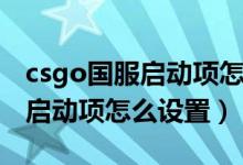 csgo國服啟動(dòng)項(xiàng)怎么輸入才有用（csgo國服啟動(dòng)項(xiàng)怎么設(shè)置）