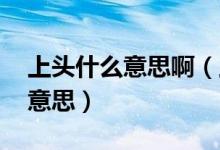 上頭什么意思啊（上頭是什么梗 上頭是什么意思）