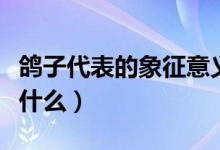 鴿子代表的象征意義（鴿子代表的象征意義是什么）