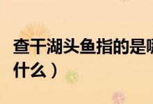 查干湖頭魚指的是哪個魚（查干湖頭魚指的是什么）