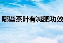 哪些茶葉有減肥功效（哪些茶葉有減肥功效）