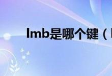 lmb是哪個鍵（lmb rmb是什么鍵）