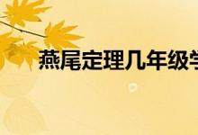 燕尾定理幾年級學（燕尾定理是什么）