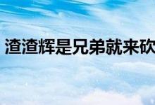 渣渣輝是兄弟就來(lái)砍表情（渣渣輝是什么梗）
