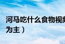 河馬吃什么食物視頻中國(guó)版（河馬吃什么食物為主）