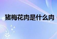 豬梅花肉是什么肉（豬梅花肉是什么部位）