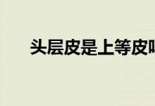 頭層皮是上等皮嗎（頭層皮是什么皮）