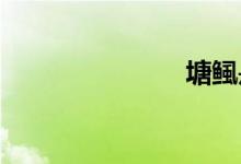 塘鲺是什么魚