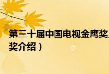 第三十屆中國電視金鷹獎入圍名單（第三十屆中國電視金鷹獎介紹）
