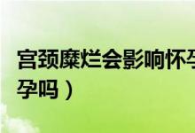 宮頸糜爛會影響懷孕初期(宮頸糜爛會影響懷孕嗎)