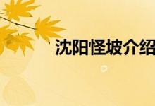 沈陽(yáng)怪坡介紹（沈陽(yáng)怪坡原理）