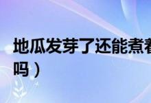 地瓜發(fā)芽了還能煮著吃嗎（地瓜發(fā)芽了還能吃嗎）