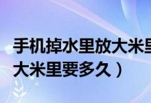 手機掉水里放大米里多長時間（手機掉水里放大米里要多久）