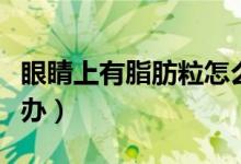 眼睛上有脂肪粒怎么辦（眼睛上有脂肪粒怎么辦）
