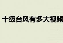 十級臺風(fēng)有多大視頻（十級臺風(fēng)有多大危害）