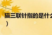 貓三聯(lián)針指的是什么（貓三聯(lián)三針分別是什么）