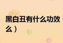 黑白丑有什么功效（黑白丑的功效與作用是什么）