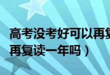 高考沒(méi)考好可以再?gòu)?fù)讀一年嗎（高考落榜可以再?gòu)?fù)讀一年嗎）
