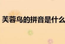芙蓉鳥的拼音是什么（芙蓉鳥的拼音是什么）