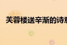 芙蓉樓送辛漸的詩意（芙蓉樓送辛漸賞析）