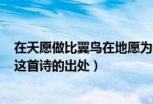 在天愿做比翼鳥在地愿為連理枝一詩寫的是哪個愛情故事（這首詩的出處）